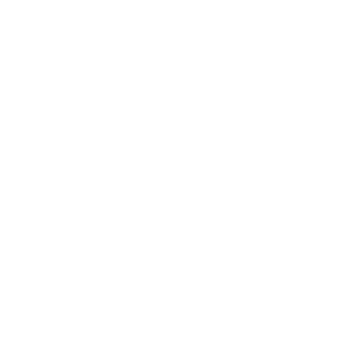 Code Icon